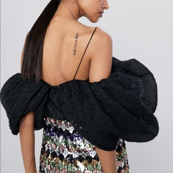 ZARA BNWT Voluminous Crop Top - Picture 3 of 8